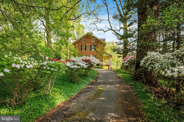 view of road with driveway