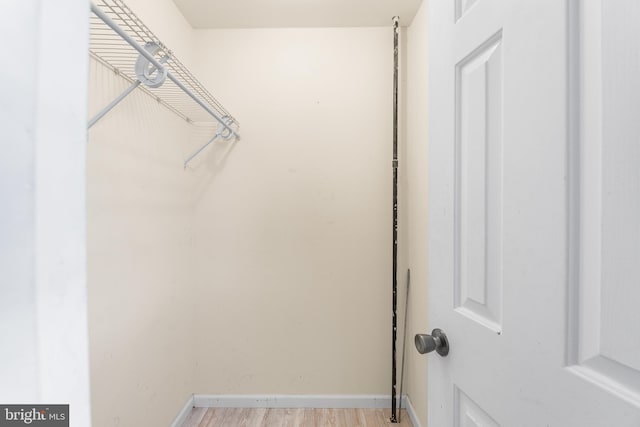 walk in closet with light wood finished floors