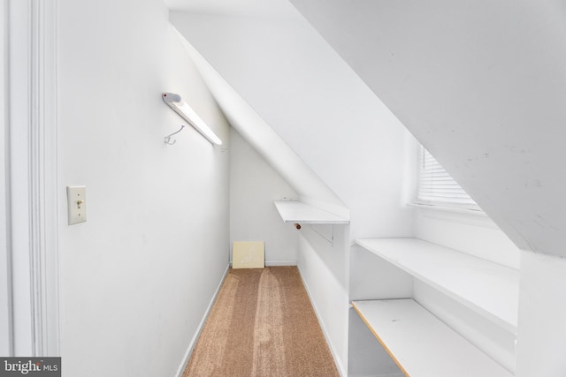 spacious closet featuring carpet floors