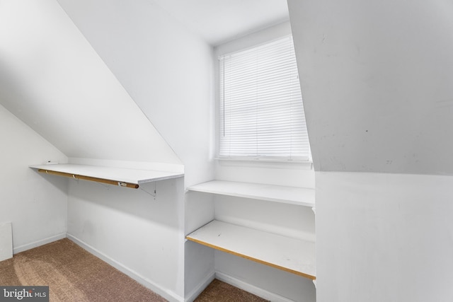 spacious closet with carpet