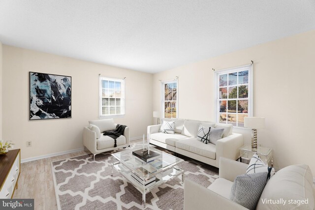 living area featuring baseboards and wood finished floors