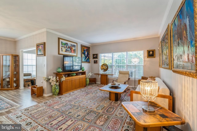 living area featuring wood finished floors, baseboards, and crown molding