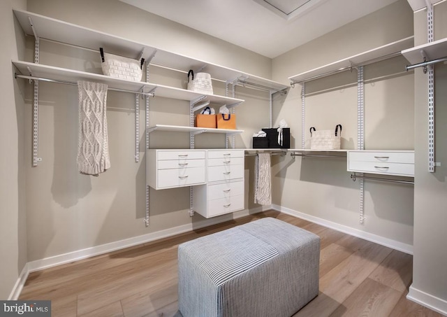 1201 Chesapeake View Dr, Middletown, DE 19709 - spacious closet with light wood finished floors