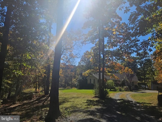 2208 Quarry Rd, Bunker Hill, WV 25413 - view of yard