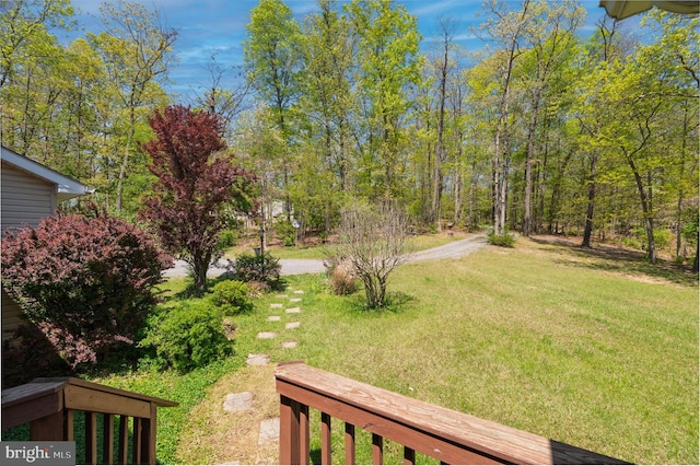 2208 Quarry Rd, Bunker Hill, WV 25413 - view of yard