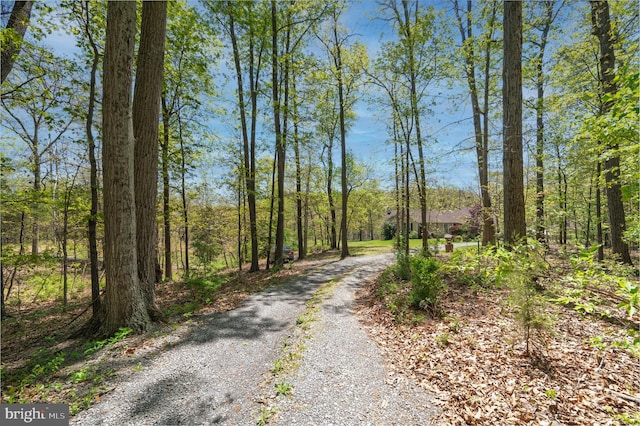 2208 Quarry Rd, Bunker Hill, WV 25413 - view of street with a view of trees and gravel driveway