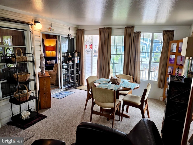 view of carpeted dining area