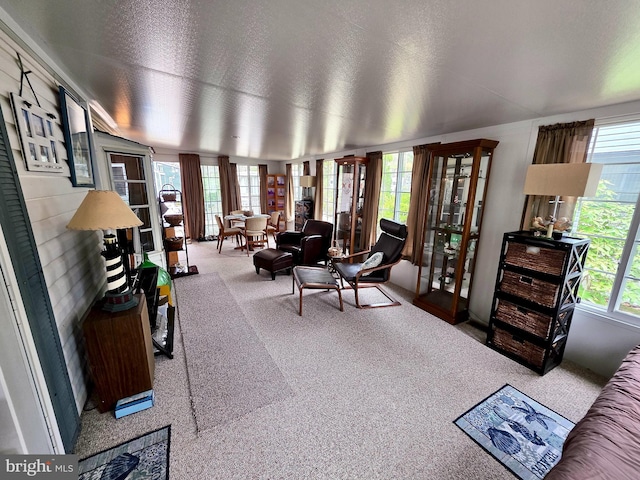 living room with carpet flooring and plenty of natural light