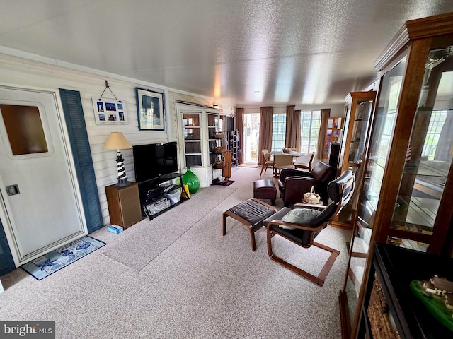 living area featuring carpet flooring