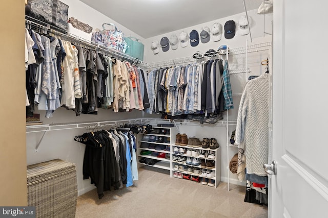 spacious closet with carpet flooring