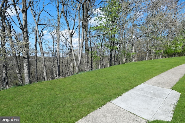 6420 Barrington Dr, Frederick, MD 21701 - view of yard