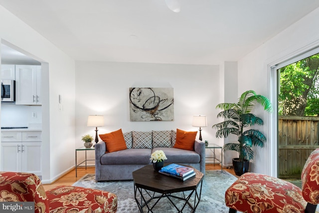 14311 Astrodome Dr Unit 6, Silver Spring, MD 20906 - living area featuring light wood-style floors and baseboards