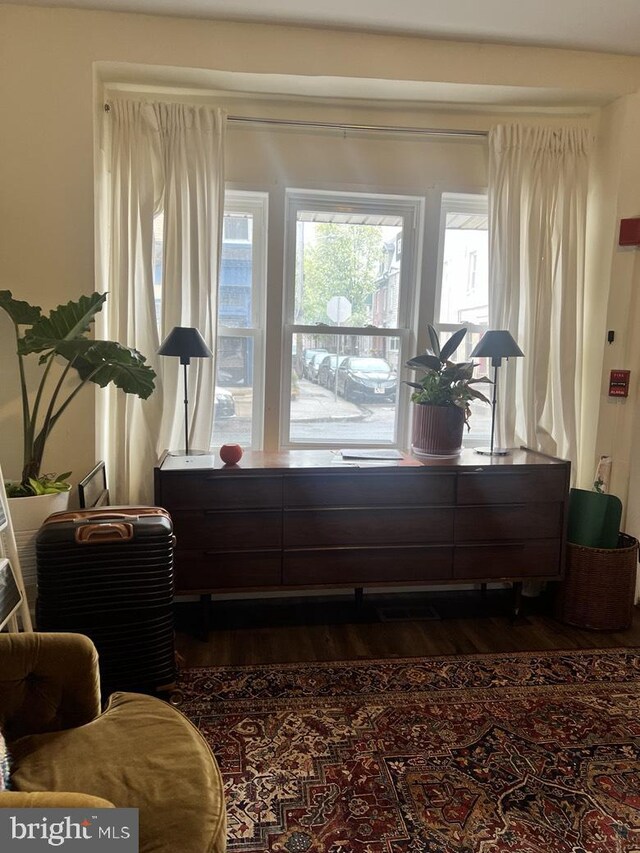 living area featuring dark wood-type flooring