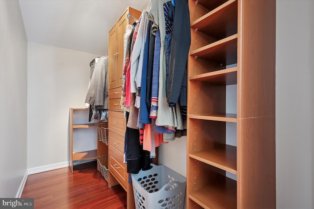 spacious closet with dark wood-style floors