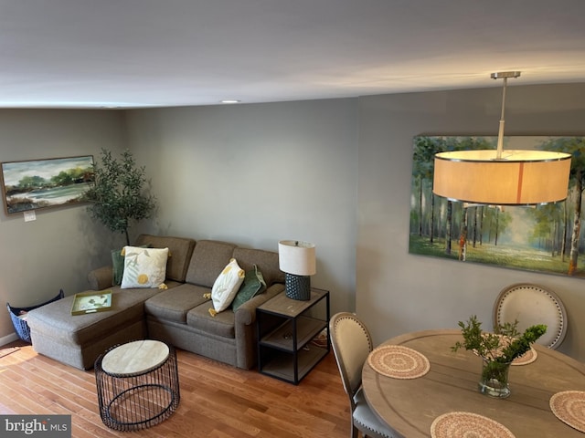 living area featuring wood finished floors