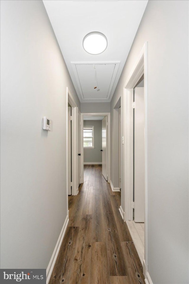 7533 Dover Ln, Lanham, MD 20706 - corridor featuring attic access, wood finished floors, and baseboards
