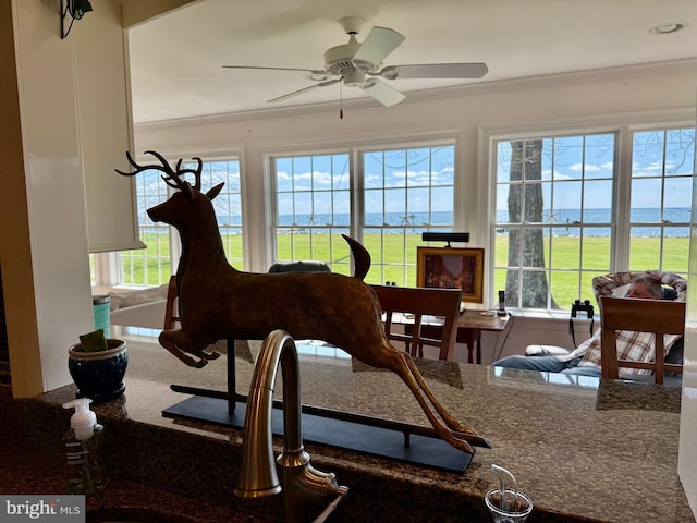 sunroom with a water view and a healthy amount of sunlight