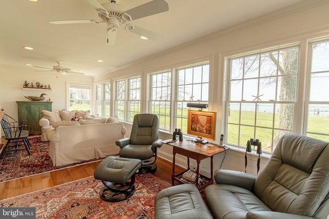 living room with wood finished floors, ceiling fan, and a wealth of natural light
