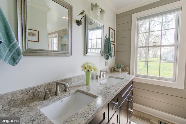 bathroom featuring a sink, ornamental molding, and a healthy amount of sunlight