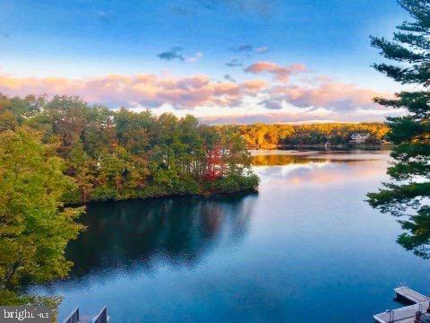 1304 Lakeview Dr, Cross Junction, VA 22625 - water view featuring a view of trees