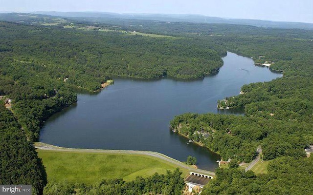 1304 Lakeview Dr, Cross Junction, VA 22625 - aerial view featuring a water view and a forest view