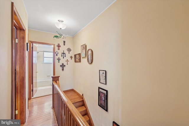 3257 Almond St, Philadelphia, PA 19134 - hallway with light wood-type flooring and an upstairs landing