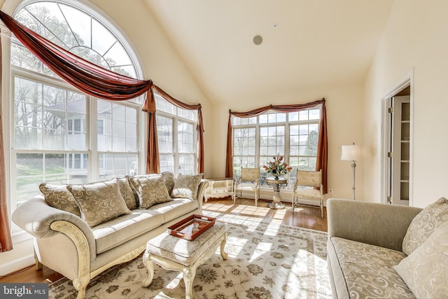 living area featuring wood finished floors, high vaulted ceiling, and a healthy amount of sunlight