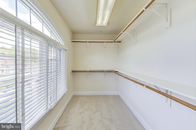 spacious closet with light carpet