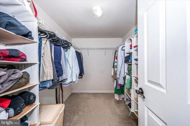 walk in closet featuring carpet