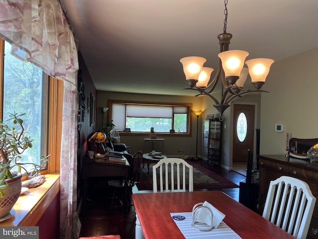 dining area with plenty of natural light, wood finished floors, and an inviting chandelier