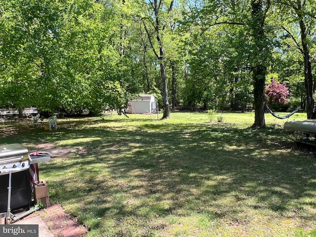 view of yard with an outbuilding and a storage shed