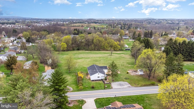 bird's eye view