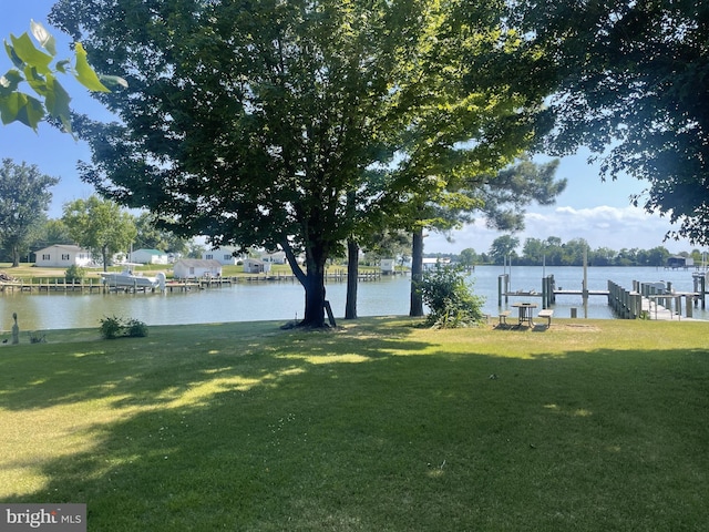 view of yard with a water view and a dock
