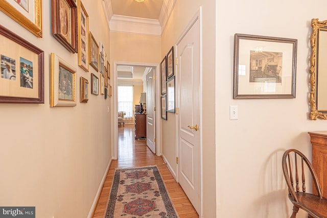 25 Easton Ave, Ocean Pines, MD 21811 - corridor with crown molding, baseboards, and light wood-style floors