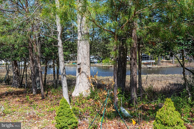 25 Easton Ave, Ocean Pines, MD 21811 - property view of water