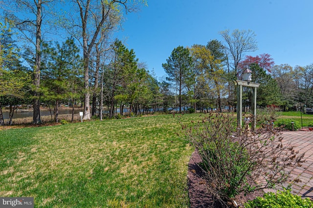 25 Easton Ave, Ocean Pines, MD 21811 - view of yard