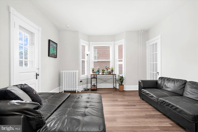 bedroom with baseboards, radiator, and wood finished floors