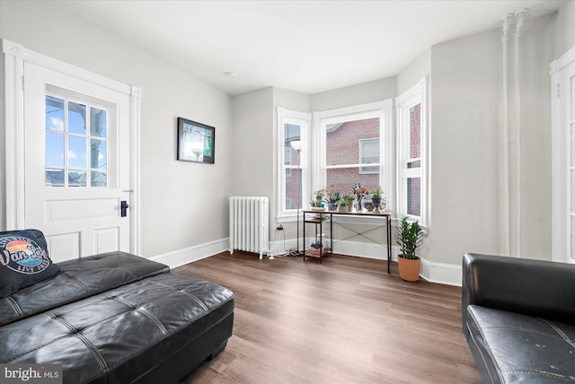 living room with baseboards, radiator, and wood finished floors