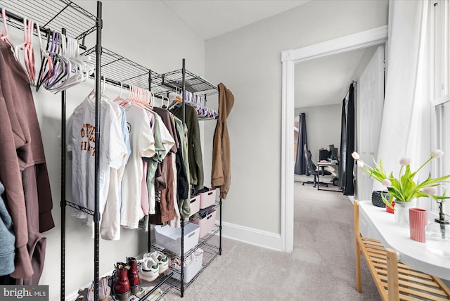 spacious closet featuring carpet