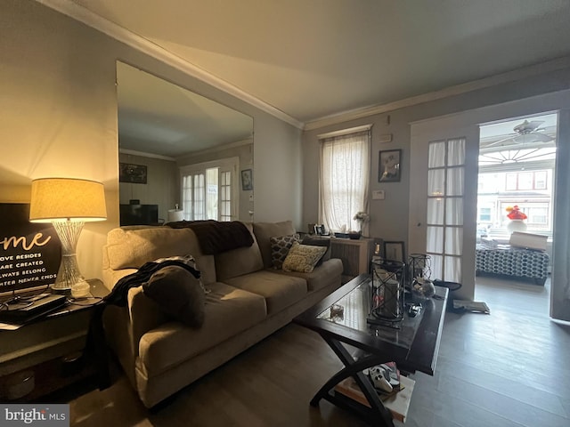 6207 Gardenia St, Philadelphia, PA 19144 - living area featuring crown molding and wood finished floors