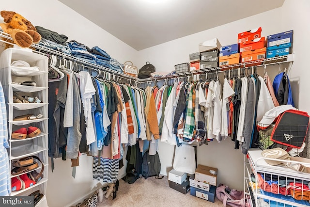 walk in closet with carpet