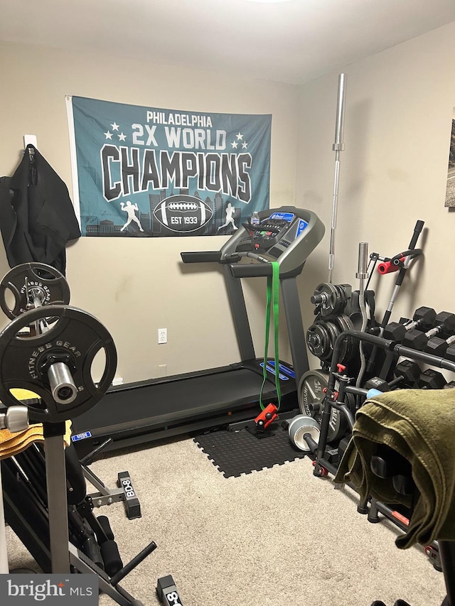 110 Woodland Ave, Norwood, PA 19074 - workout area with carpet flooring