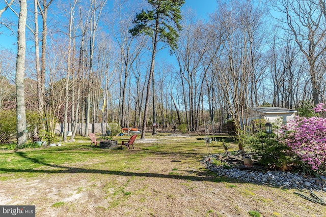 view of yard