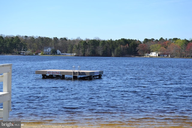 view of dock featuring a view of trees and a water view