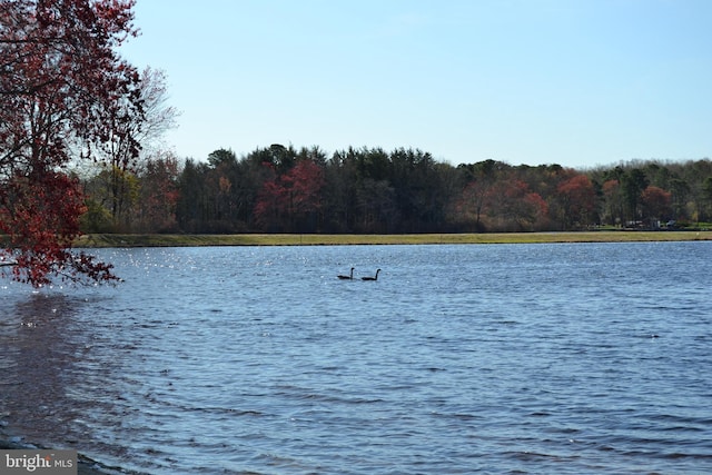 view of water feature featuring a view of trees