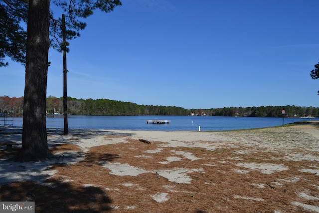 water view featuring a wooded view