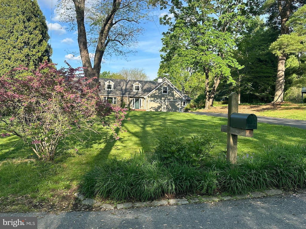 view of green lawn