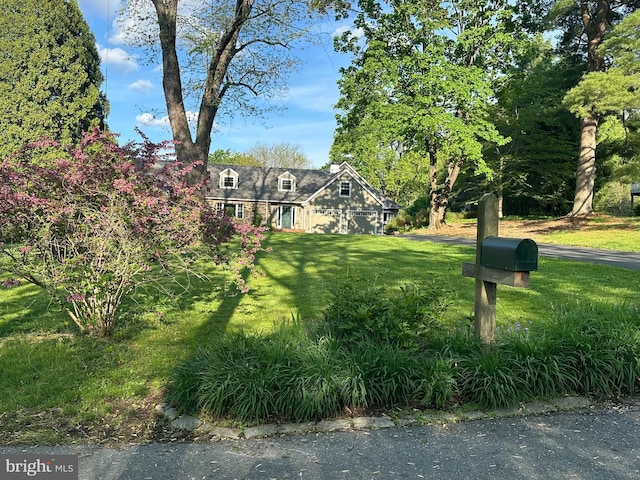 view of green lawn