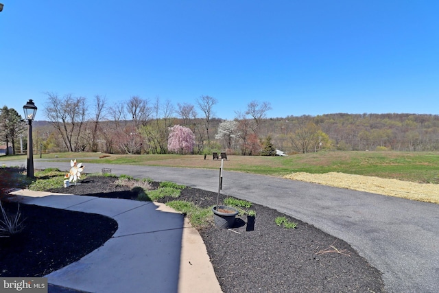 view of road with a wooded view and street lighting