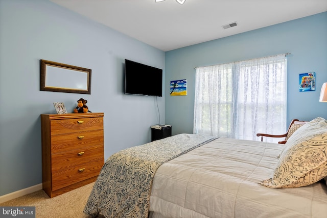 207 Secretariat Dr Unit M, Havre De Grace, MD 21078 - carpeted bedroom with baseboards